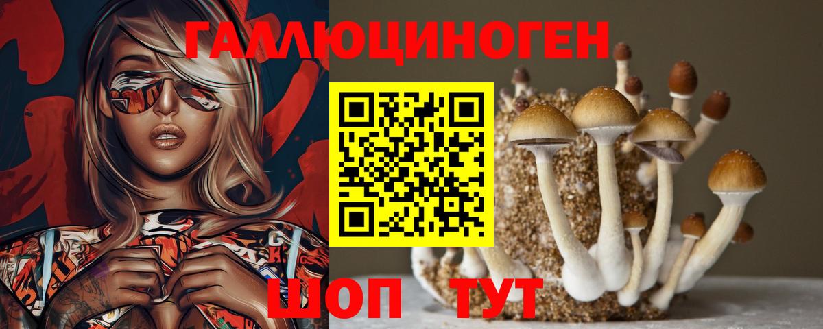 Галлюциногенные грибы Psilocybine cubensis Новый Уренгой